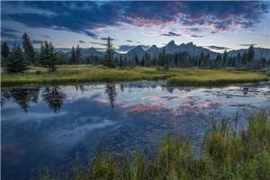 天生神医古风全文免费阅读