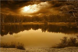 天生神医古风全文免费阅读无弹窗