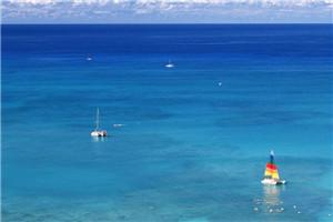 天生神医百度百科