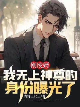 凤囚凰天衣有风