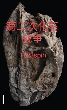 火车集装箱运费吨公里多少钱