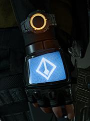 沉睡的森林主要讲了什么