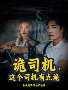 碰瓷翻了车txt百度