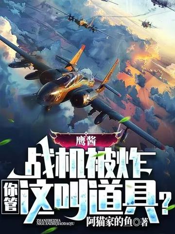 鹰酱战机被炸，你管这叫道具？