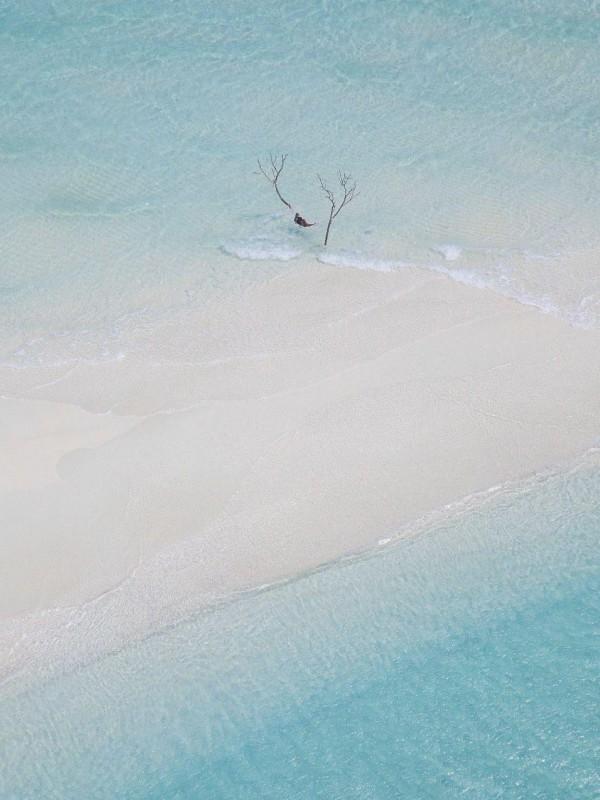 白月光omega总想独占我格格党