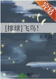[排球]飞鸟！