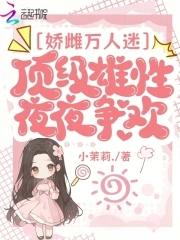 庶妻讲的是什么