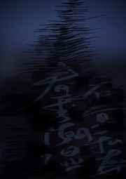 黑曼巴陷阱免费阅读全文