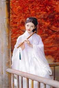 嫁给反派后人鱼不想努力了免费阅读无弹窗