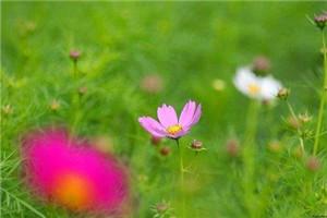 我穿成小说里面的恶毒男配