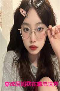 我的理想小镇无限TXT