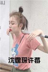 第七年夏天沈妄林漾