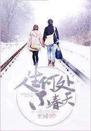 持续为您导航TXT