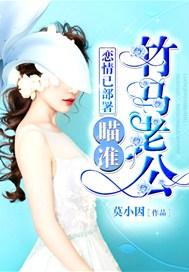 你要对我负责by迟小椰讲的什么