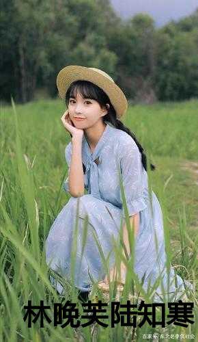 这豪门作精我不当了晋江