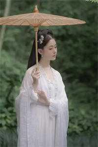 笼中美人讲的什么故事