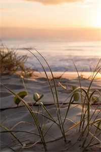 碰瓷翻了车晋江