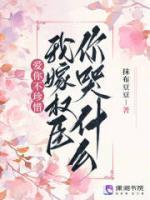 和越前谈恋爱 百度