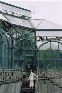 精选全文重逢：我与佳人共赏美景