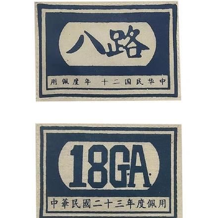 儿子是重生的反派大佬男主是谁