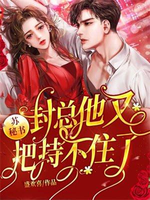 重生七零小辣媳盛安宁