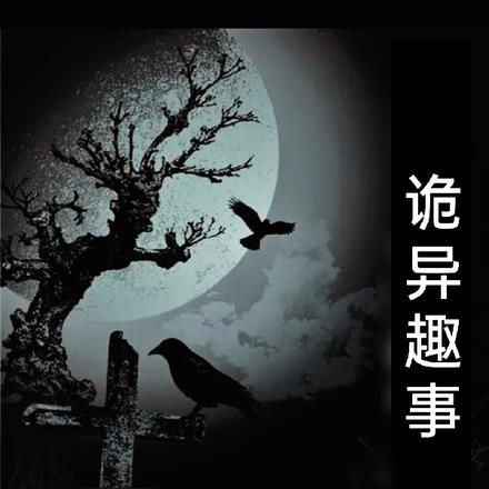 我在异界成武圣女主有几个