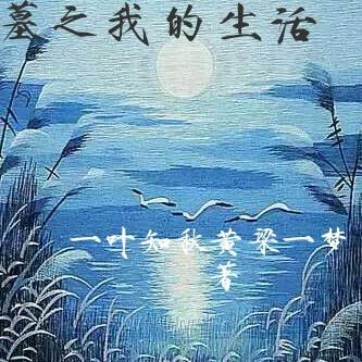 初笺全文免费阅读笔趣阁