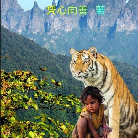 初笺全文免费阅读