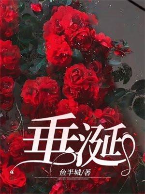 龙图案卷集·续完整版免费阅读