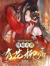 洞房花烛夜后，得知夫君有花柳病