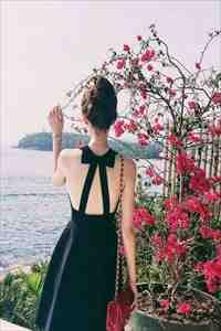 我的信息素有毒by一壶热水