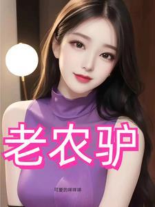 危险拍档全本免费