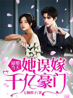 第101次逃婚上册