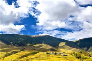 为了签到我成了传说中的神经病晋江