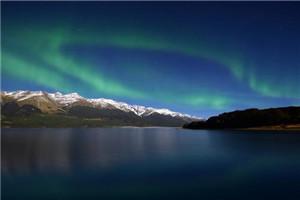 为了签到我成了传说中的神经病免费观看